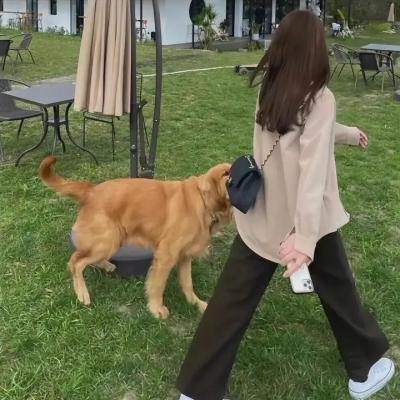 我的天才女友第一季